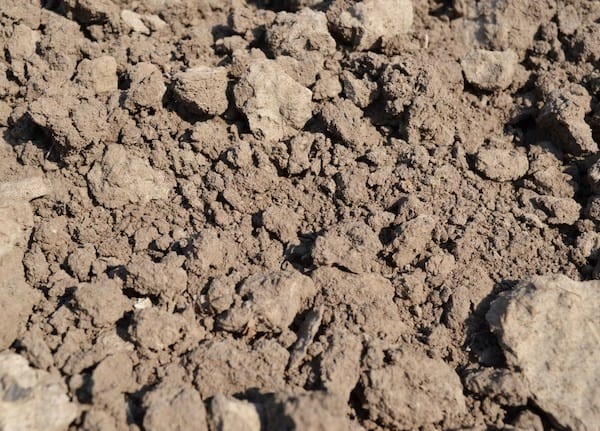 terreno limoso